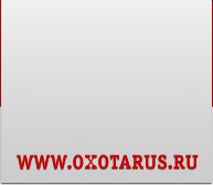 www.ohotarus.ru