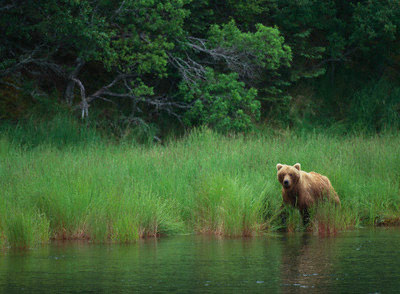 hunting